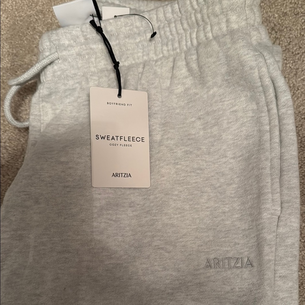 Aritzia Gray Sweatfleece Track Pants
